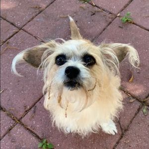 Meet your Posher, Garrett